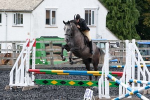 Class 5 - Fences not above 2'6